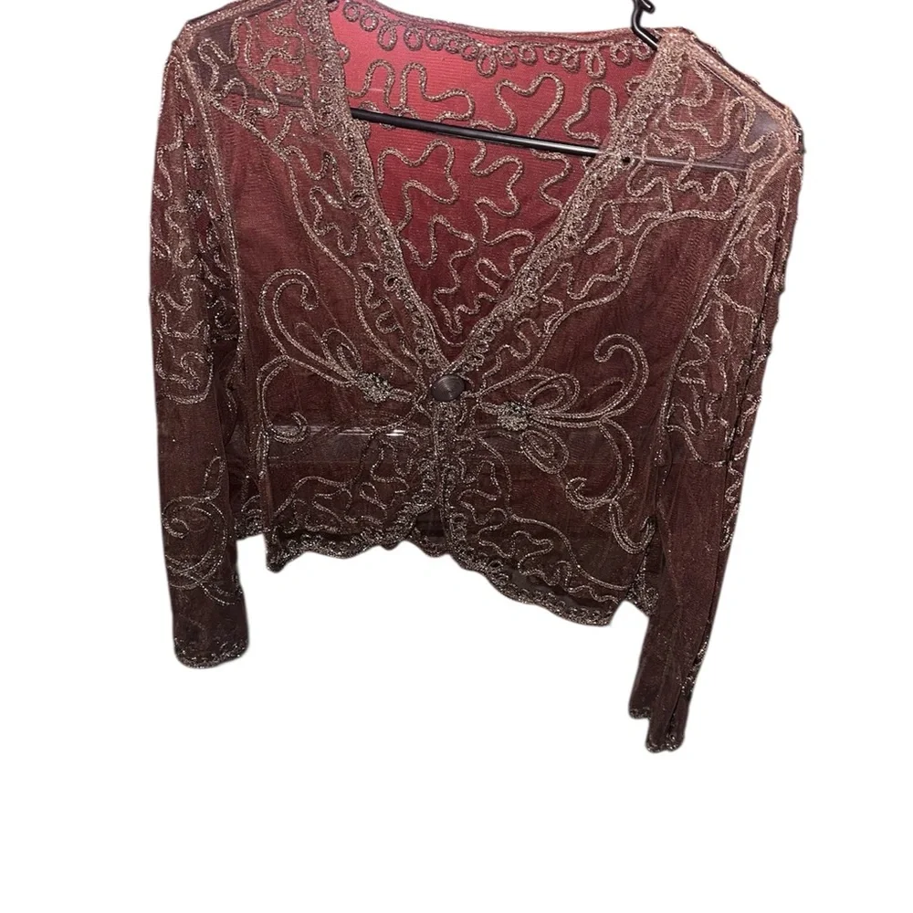 Embroidered Sheer Jacket - Picture 1 of 1